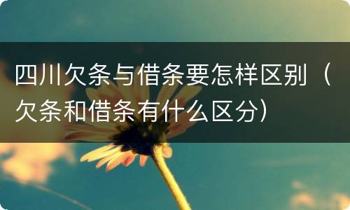 四川欠条与借条要怎样区别（欠条和借条有什么区分）