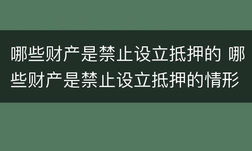 哪些财产是禁止设立抵押的 哪些财产是禁止设立抵押的情形