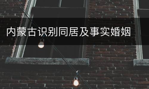 内蒙古识别同居及事实婚姻