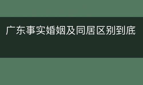 广东事实婚姻及同居区别到底