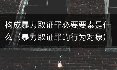 构成暴力取证罪必要要素是什么（暴力取证罪的行为对象）