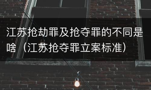 江苏抢劫罪及抢夺罪的不同是啥（江苏抢夺罪立案标准）