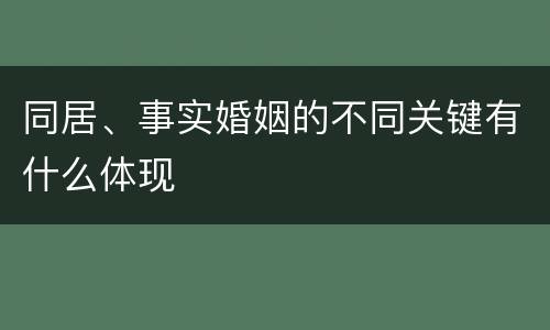 同居、事实婚姻的不同关键有什么体现