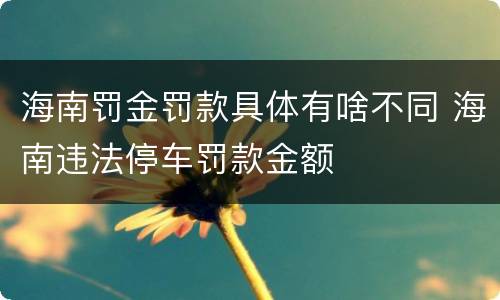 海南罚金罚款具体有啥不同 海南违法停车罚款金额