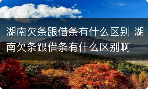 湖南欠条跟借条有什么区别 湖南欠条跟借条有什么区别啊