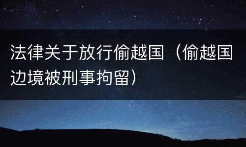法律关于放行偷越国（偷越国边境被刑事拘留）