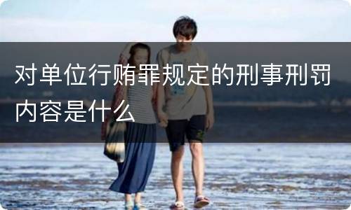 对单位行贿罪规定的刑事刑罚内容是什么