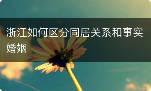 浙江如何区分同居关系和事实婚姻