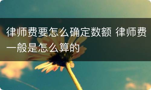 律师费要怎么确定数额 律师费一般是怎么算的