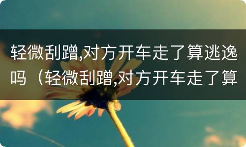 轻微刮蹭,对方开车走了算逃逸吗（轻微刮蹭,对方开车走了算逃逸吗怎么处理）