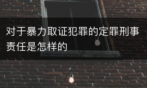 对于暴力取证犯罪的定罪刑事责任是怎样的