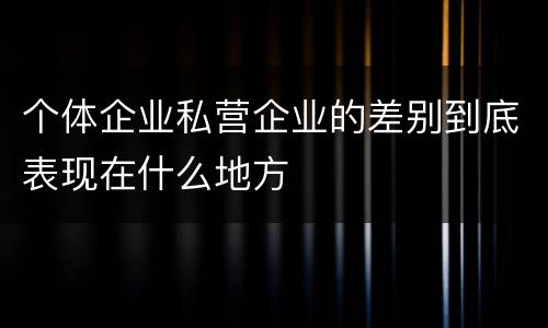 个体企业私营企业的差别到底表现在什么地方