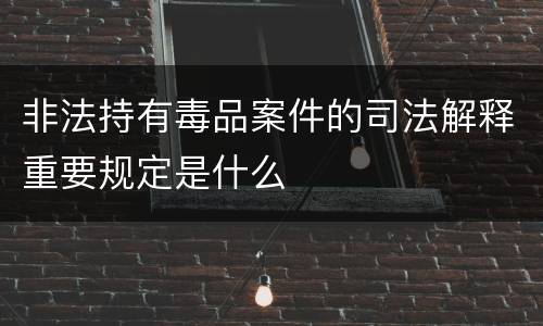 非法持有毒品案件的司法解释重要规定是什么