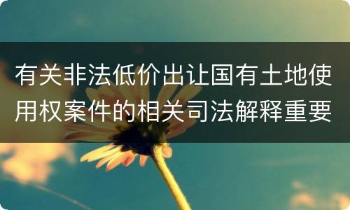 有关非法低价出让国有土地使用权案件的相关司法解释重要内容包括什么