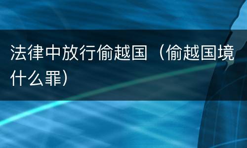 法律中放行偷越国（偷越国境什么罪）