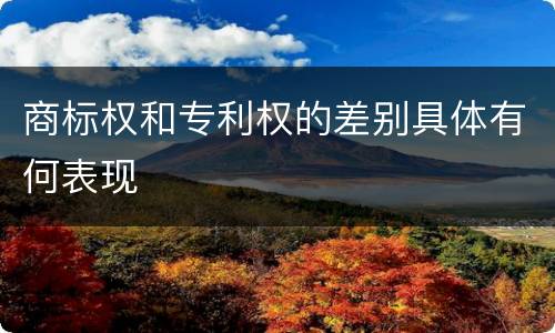 商标权和专利权的差别具体有何表现