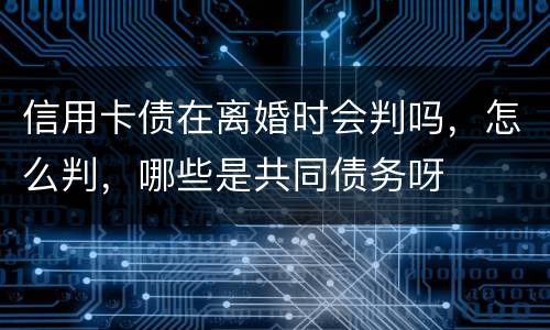 信用卡债在离婚时会判吗，怎么判，哪些是共同债务呀