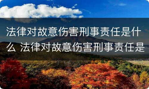 法律对故意伤害刑事责任是什么 法律对故意伤害刑事责任是什么规定