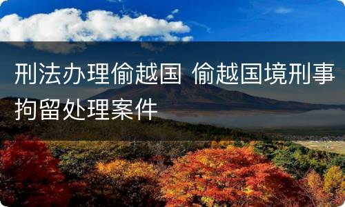 刑法办理偷越国 偷越国境刑事拘留处理案件