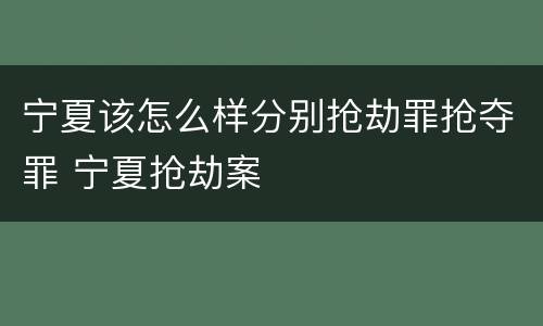 宁夏该怎么样分别抢劫罪抢夺罪 宁夏抢劫案