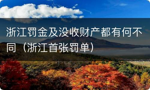 浙江罚金及没收财产都有何不同（浙江首张罚单）