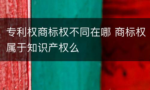 专利权商标权不同在哪 商标权属于知识产权么