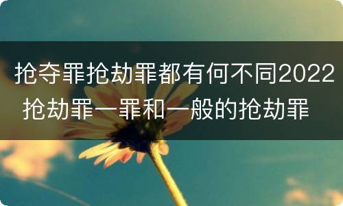抢夺罪抢劫罪都有何不同2022 抢劫罪一罪和一般的抢劫罪