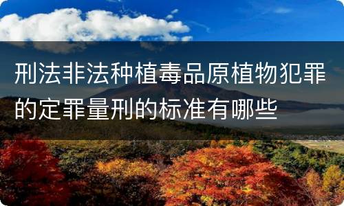 刑法非法种植毒品原植物犯罪的定罪量刑的标准有哪些