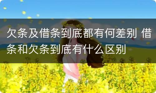 欠条及借条到底都有何差别 借条和欠条到底有什么区别