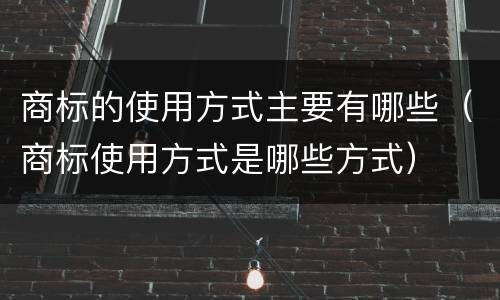 商标的使用方式主要有哪些（商标使用方式是哪些方式）