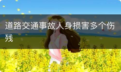 道路交通事故人身损害多个伤残