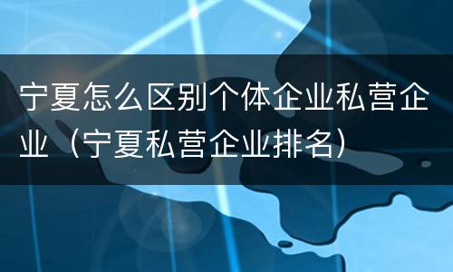 宁夏怎么区别个体企业私营企业（宁夏私营企业排名）