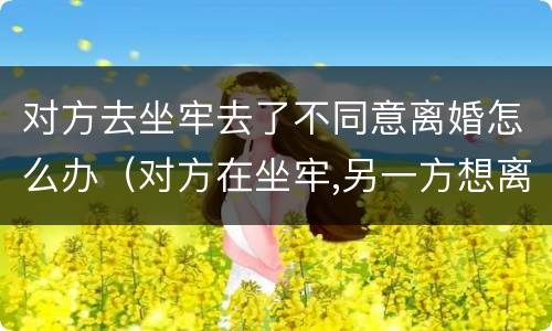对方去坐牢去了不同意离婚怎么办（对方在坐牢,另一方想离婚,该怎么办）