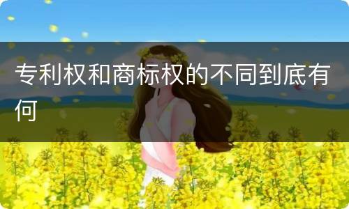 专利权和商标权的不同到底有何