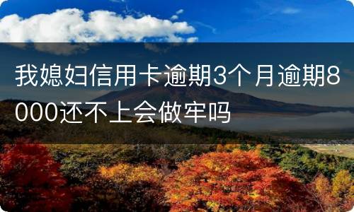 我媳妇信用卡逾期3个月逾期8000还不上会做牢吗