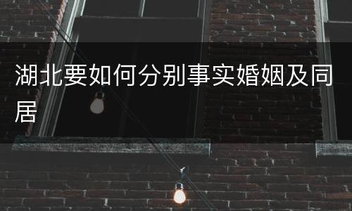 湖北要如何分别事实婚姻及同居