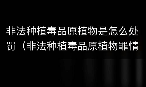 非法种植毒品原植物是怎么处罚（非法种植毒品原植物罪情节严重）