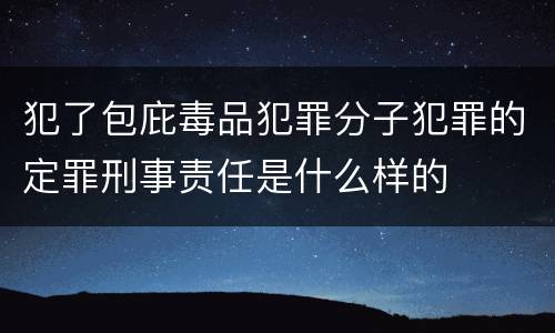 犯了包庇毒品犯罪分子犯罪的定罪刑事责任是什么样的