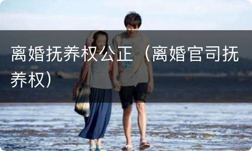 离婚抚养权公正（离婚官司抚养权）