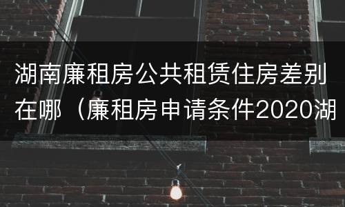 湖南廉租房公共租赁住房差别在哪（廉租房申请条件2020湖南）