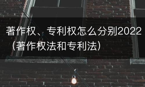 著作权、专利权怎么分别2022（著作权法和专利法）