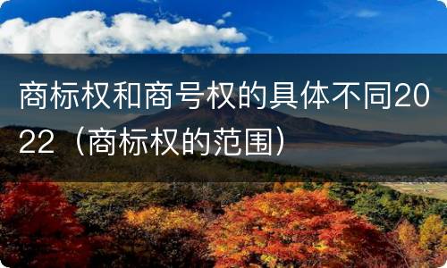 商标权和商号权的具体不同2022（商标权的范围）