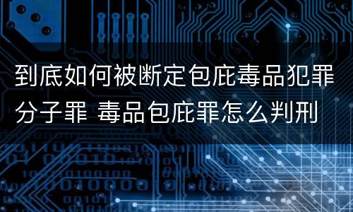 到底如何被断定包庇毒品犯罪分子罪 毒品包庇罪怎么判刑