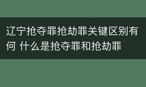 辽宁抢夺罪抢劫罪关键区别有何 什么是抢夺罪和抢劫罪