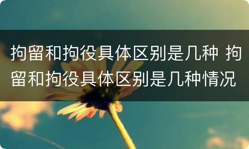 拘留和拘役具体区别是几种 拘留和拘役具体区别是几种情况
