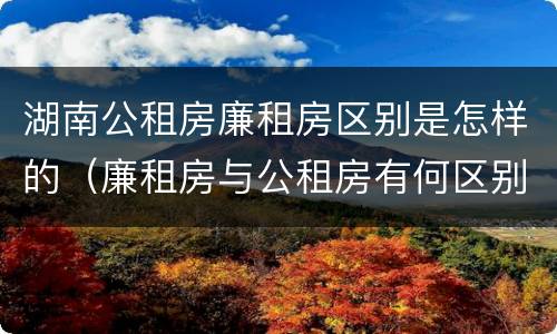 湖南公租房廉租房区别是怎样的（廉租房与公租房有何区别）