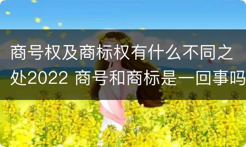商号权及商标权有什么不同之处2022 商号和商标是一回事吗
