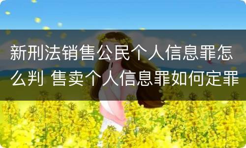 新刑法销售公民个人信息罪怎么判 售卖个人信息罪如何定罪