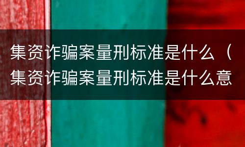 集资诈骗案量刑标准是什么（集资诈骗案量刑标准是什么意思）