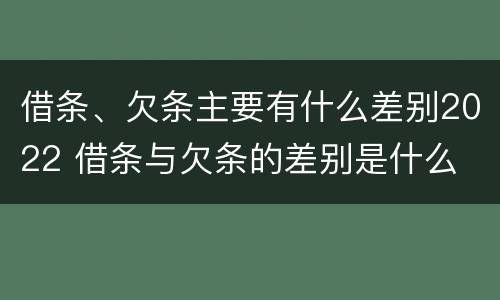 借条、欠条主要有什么差别2022 借条与欠条的差别是什么